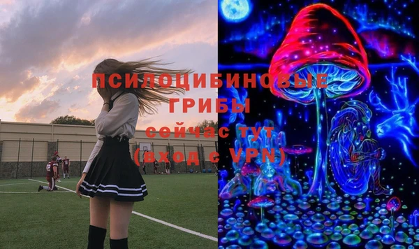 ПСИЛОЦИБИНОВЫЕ ГРИБЫ Абаза