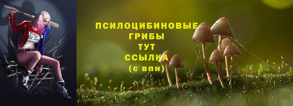 МДПВ Абдулино