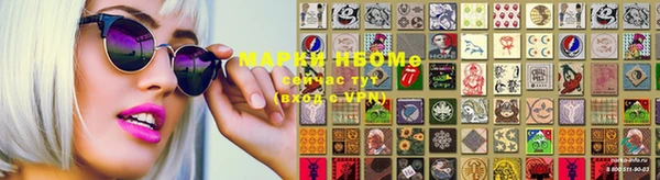 ПСИЛОЦИБИНОВЫЕ ГРИБЫ Абаза